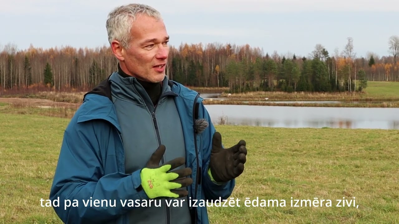 Mans zivju dīķis. Karpu intensīvā audzēšana un aizsardzība