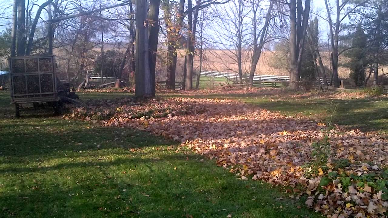 Dave Graham's Home Made leaf catcher