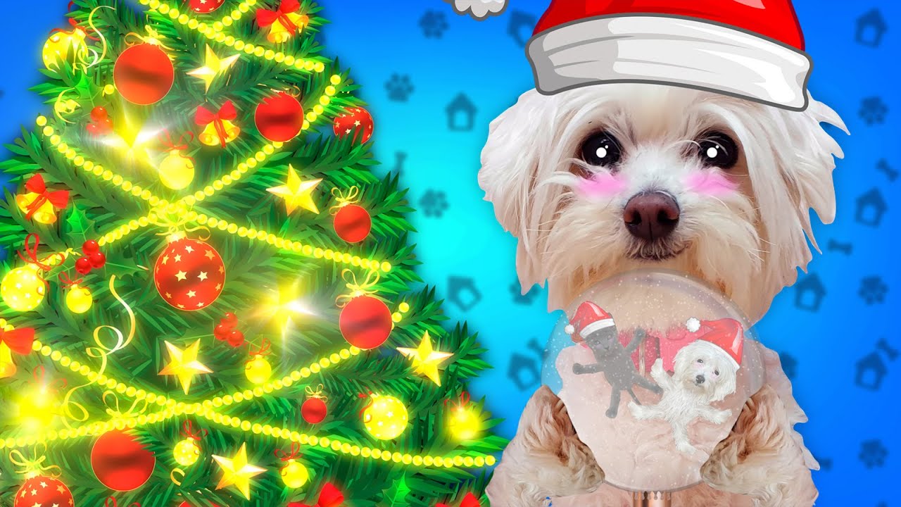 HISTORIAS y RETOS DIVERTIDOS NAVIDEÑOS para PERROS y GATOS !! 🎅🏻🎄