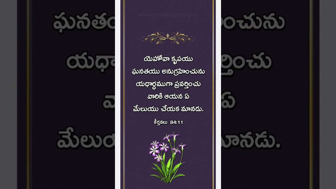 Daily Bible verse