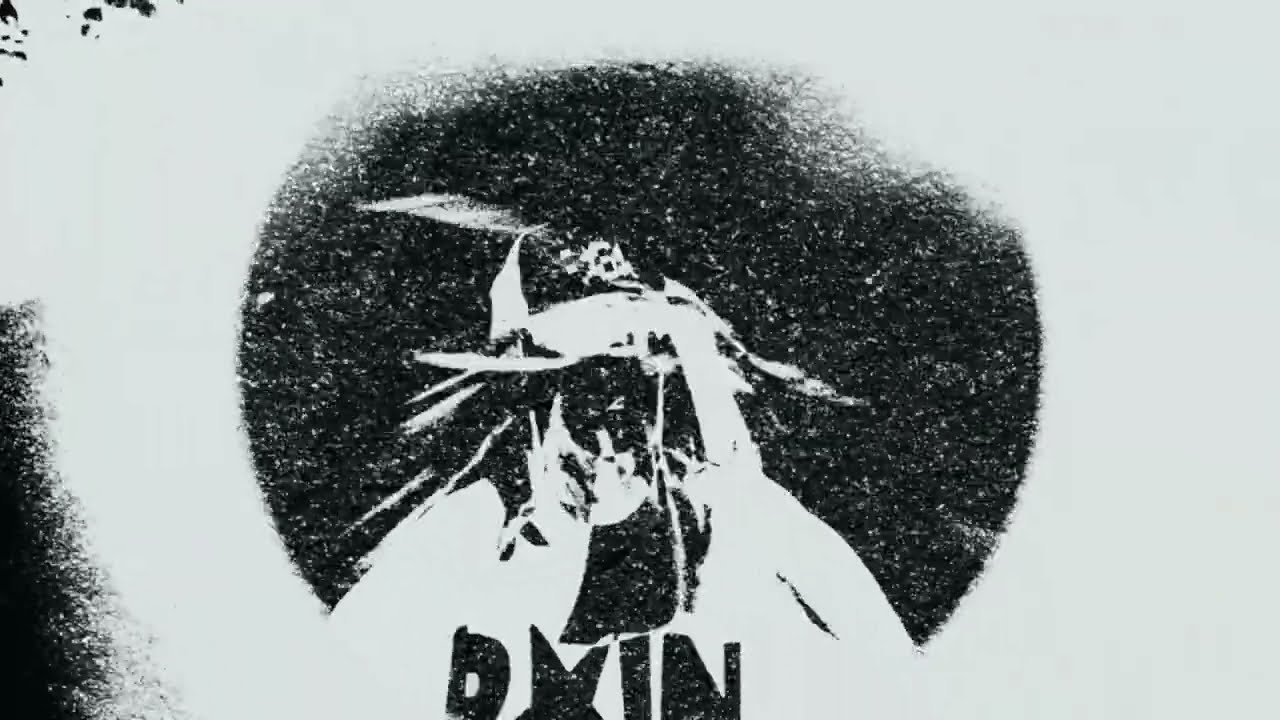 Lingo = ZA MNĄ / directed by @uglyassocho