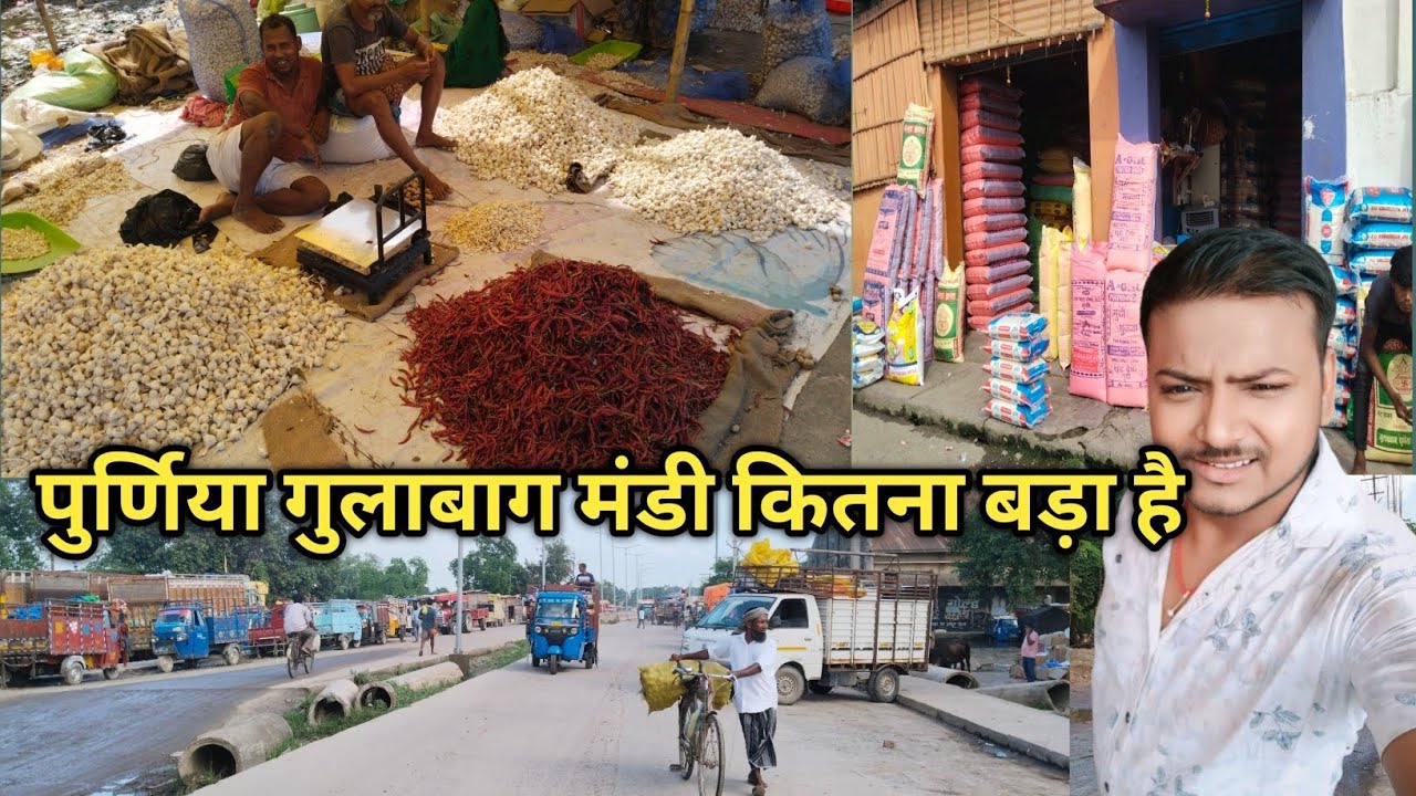 पुर्णिया गुलाबाग मंडी कितना बड़ा है कितने किलोमीटर में फैला है|gullabagh mandi #sagarpurniavlog