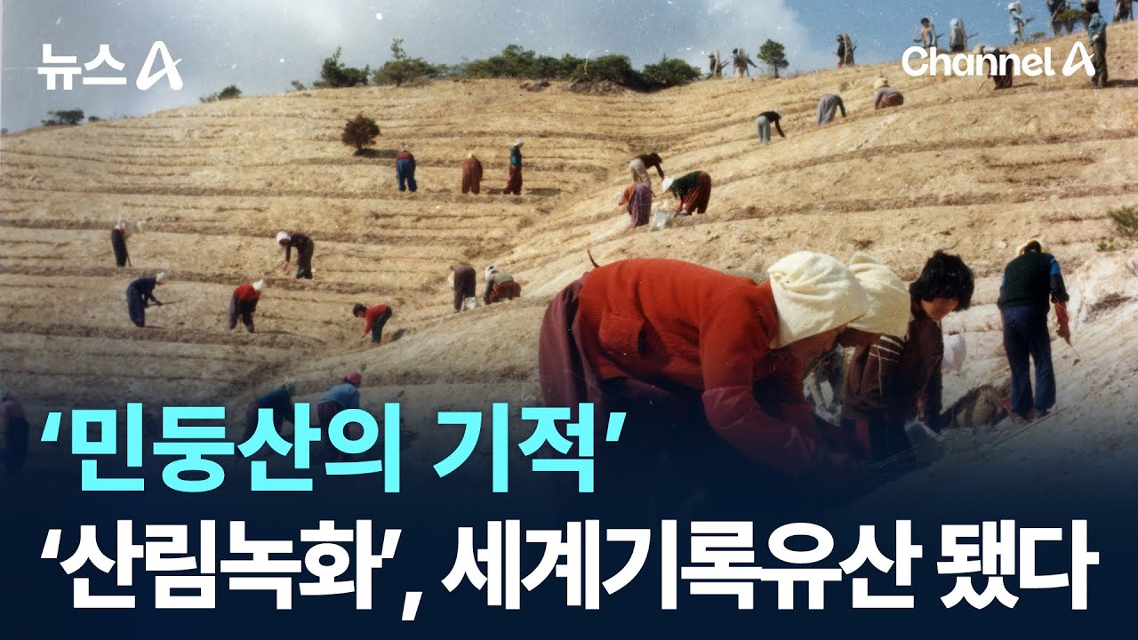 &lsquo;민둥산의 기적&rsquo;&hellip;&lsquo;산림녹화&rsquo;, 세계기록유산 됐다 / 채널A / 뉴스A