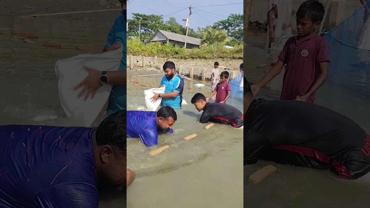 Early Morning Net Fishing Adventure 