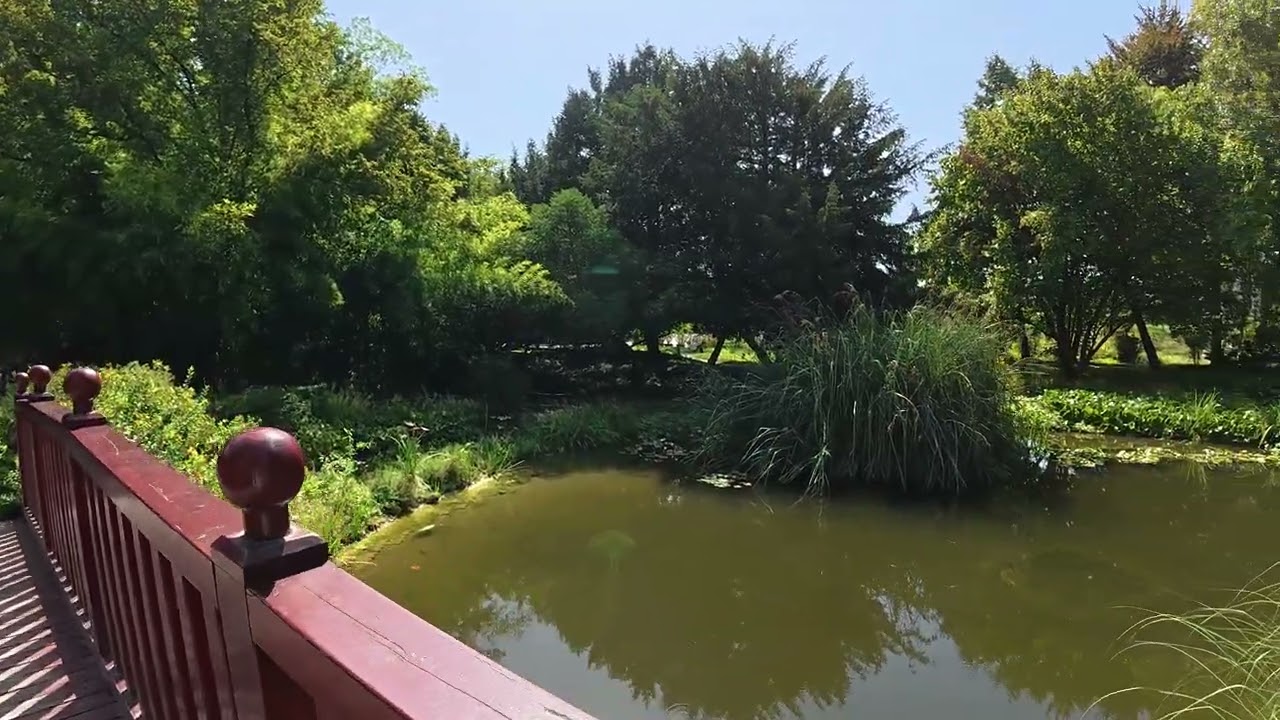 Walk through the Zagreb Botanical Garden (Part 1 of 2)