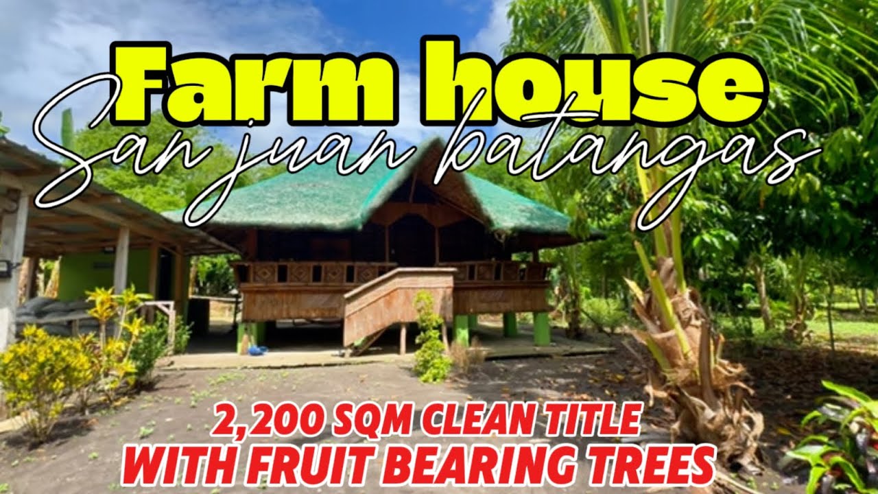 NLIST-018 San juan batangas 3,200 sqm farm house kubo 2 bedrooms with fruit bearing trees