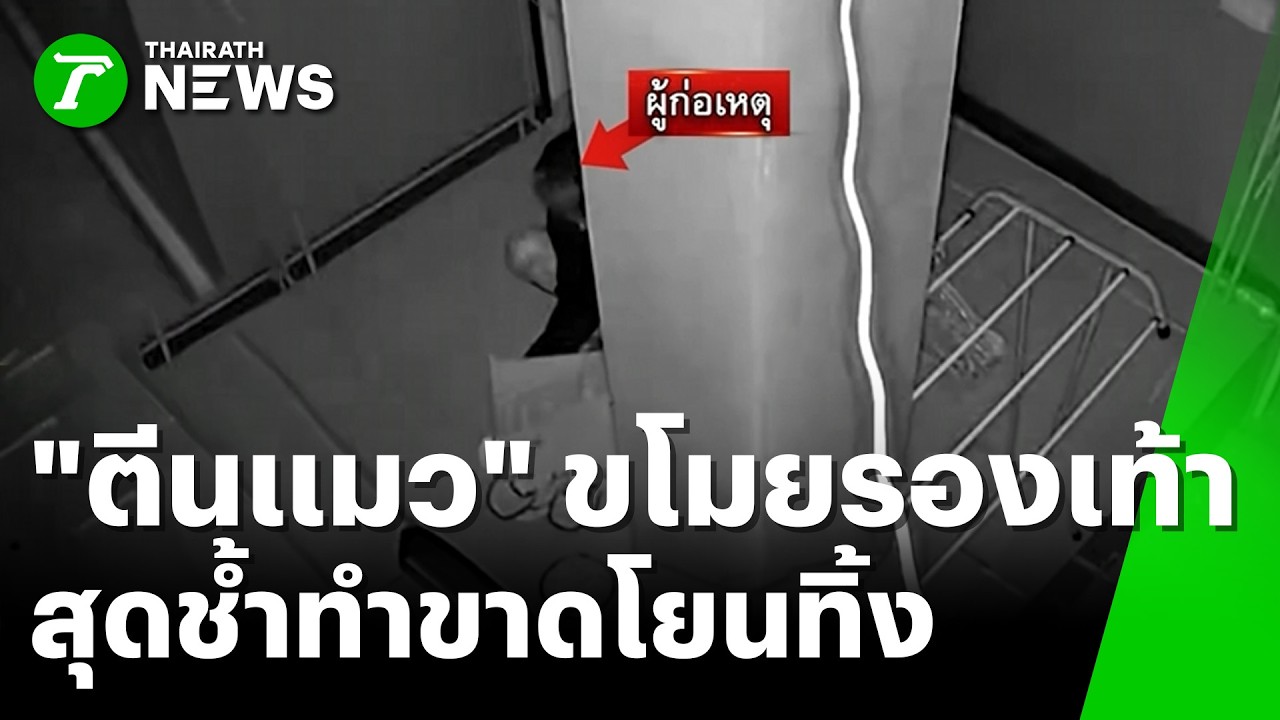 ตีนแมวผอมโซ ปีนรั้วบ้าน ฉกรองเท้าครูสาว | 10 มี.ค. 69 | ห้องข่าวหัวเขียว