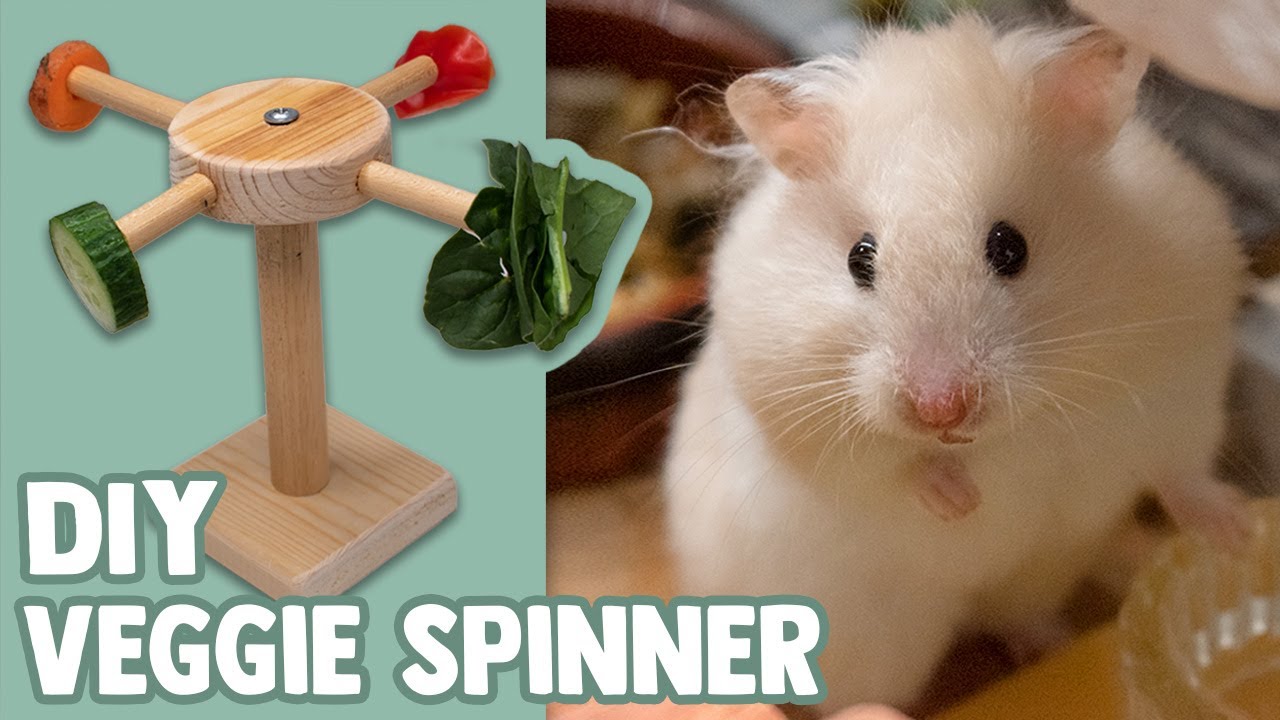 DIY Veggie Spinner Hamster Enrichment