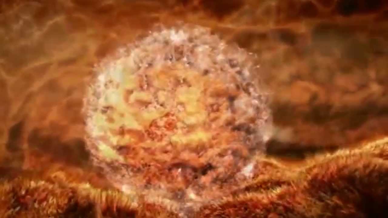 El Milagro de la Vida