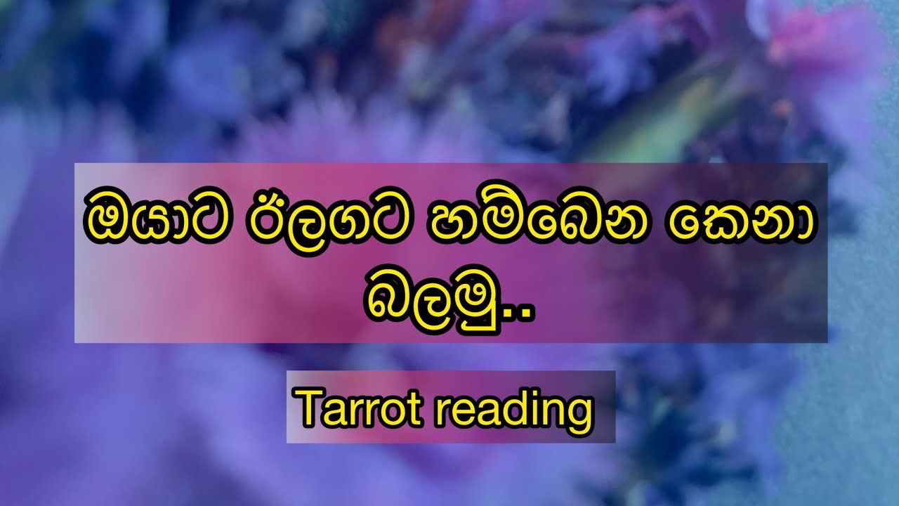 ඔයාගෙ next partner  කවුද?/එයා මෙහෙම කෙනෙක්ද?