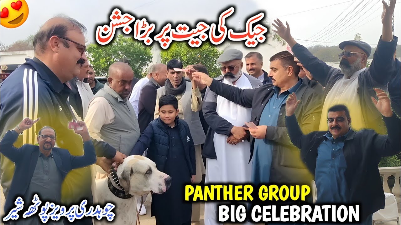 Wining Big Celebration In Happiness Jack Dog Fight || Choudary Parvez Potha Sher Panther Group