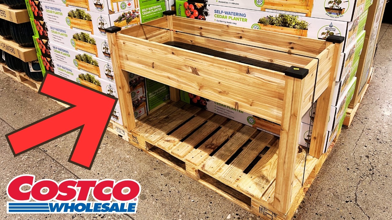 CedarCraft Self-Watering Cedar Planter at Costco! 🌿 Is $149.99 Worth It?