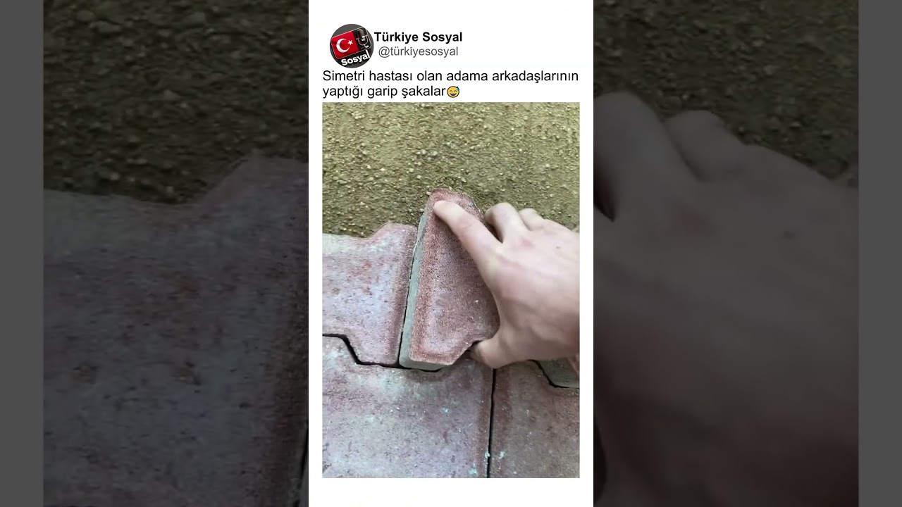 Parke Taşı D&ouml;şerken Simetri Hastası Arkadaşa Yapılan Şakalar😂