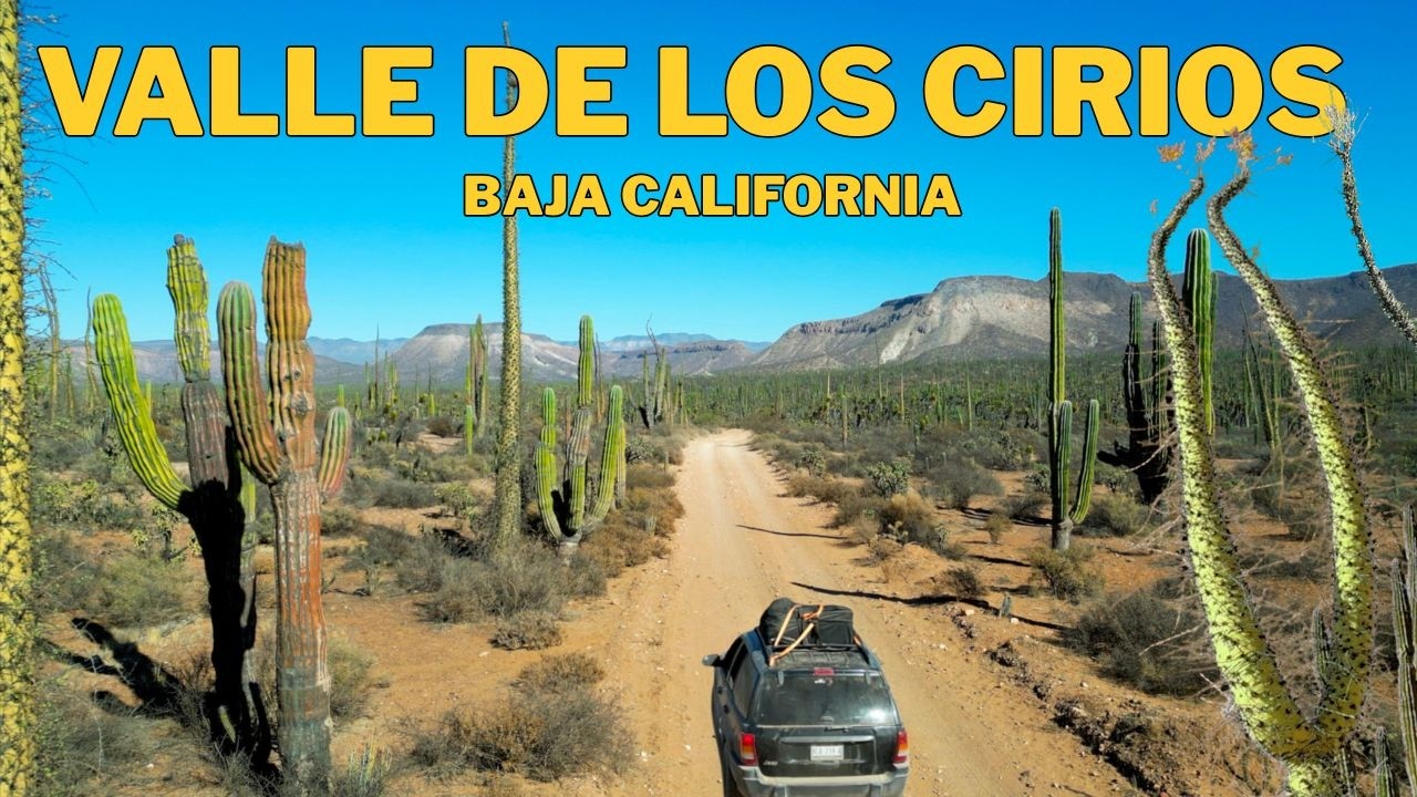Valle de los Cirios: El desierto más remoto de México