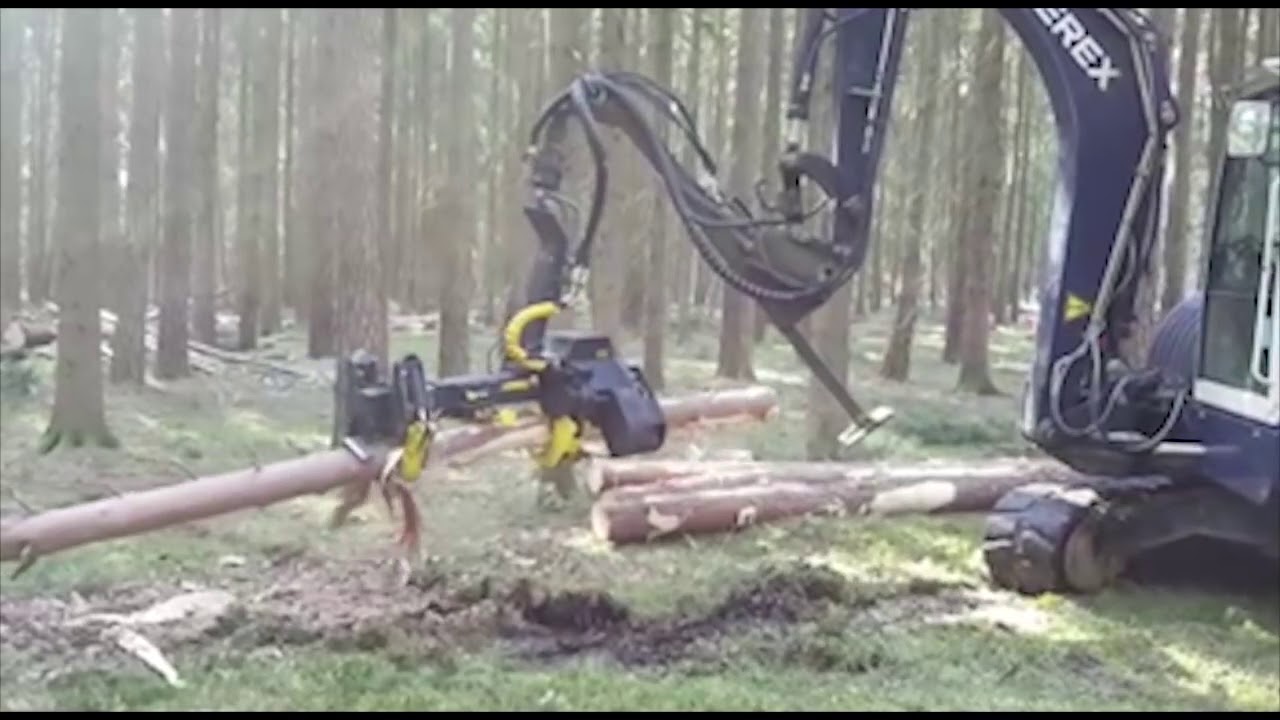 Bagger Forstarbeit - Bäume fällen bis 45 cm Durchmesser.