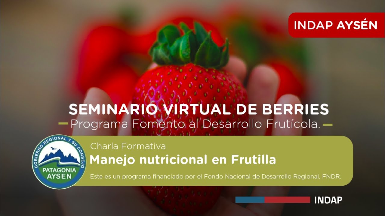 Manejo nutricional en Frutilla - Seminario Virtual de Berries