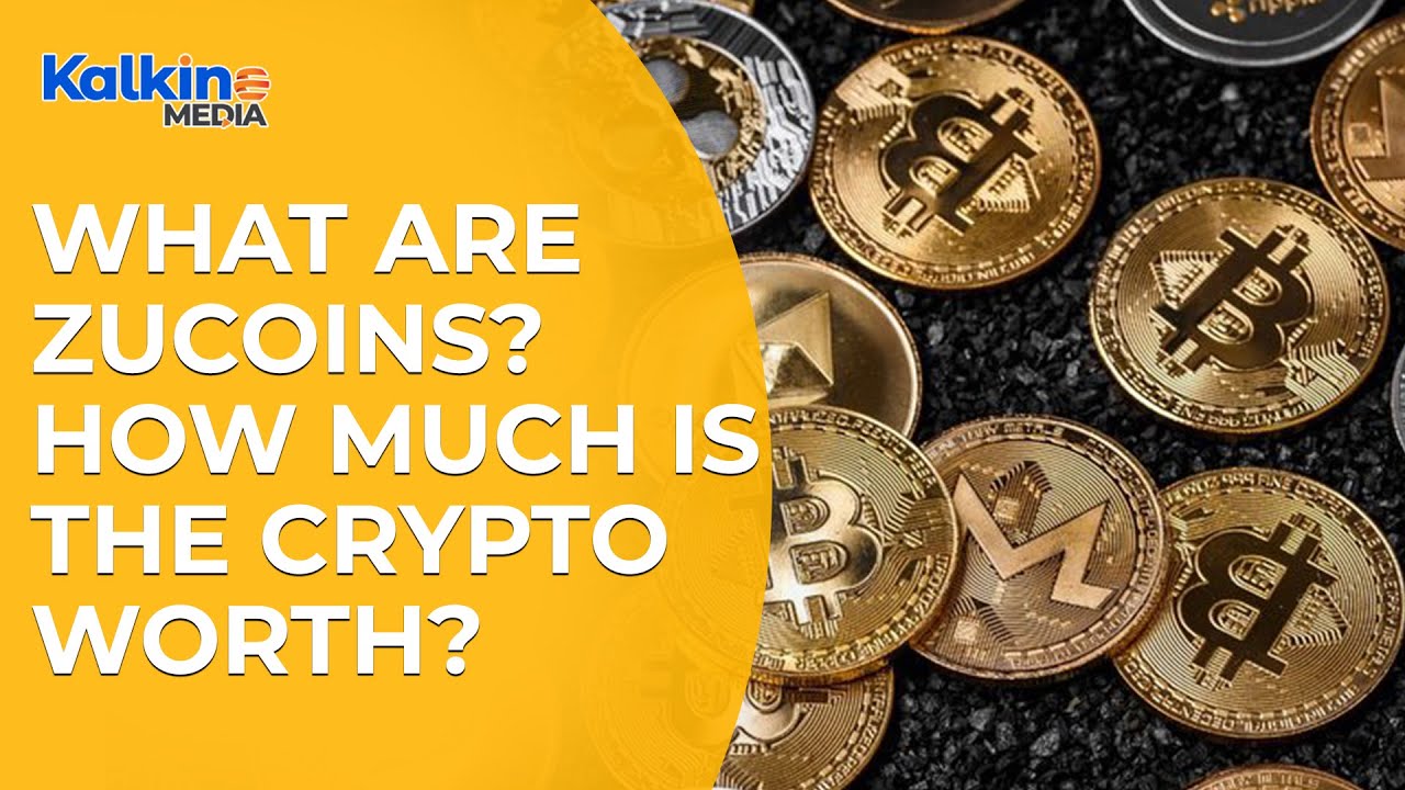 Что такое Zoocoin? Сколько может стоить эта криптовалюта?