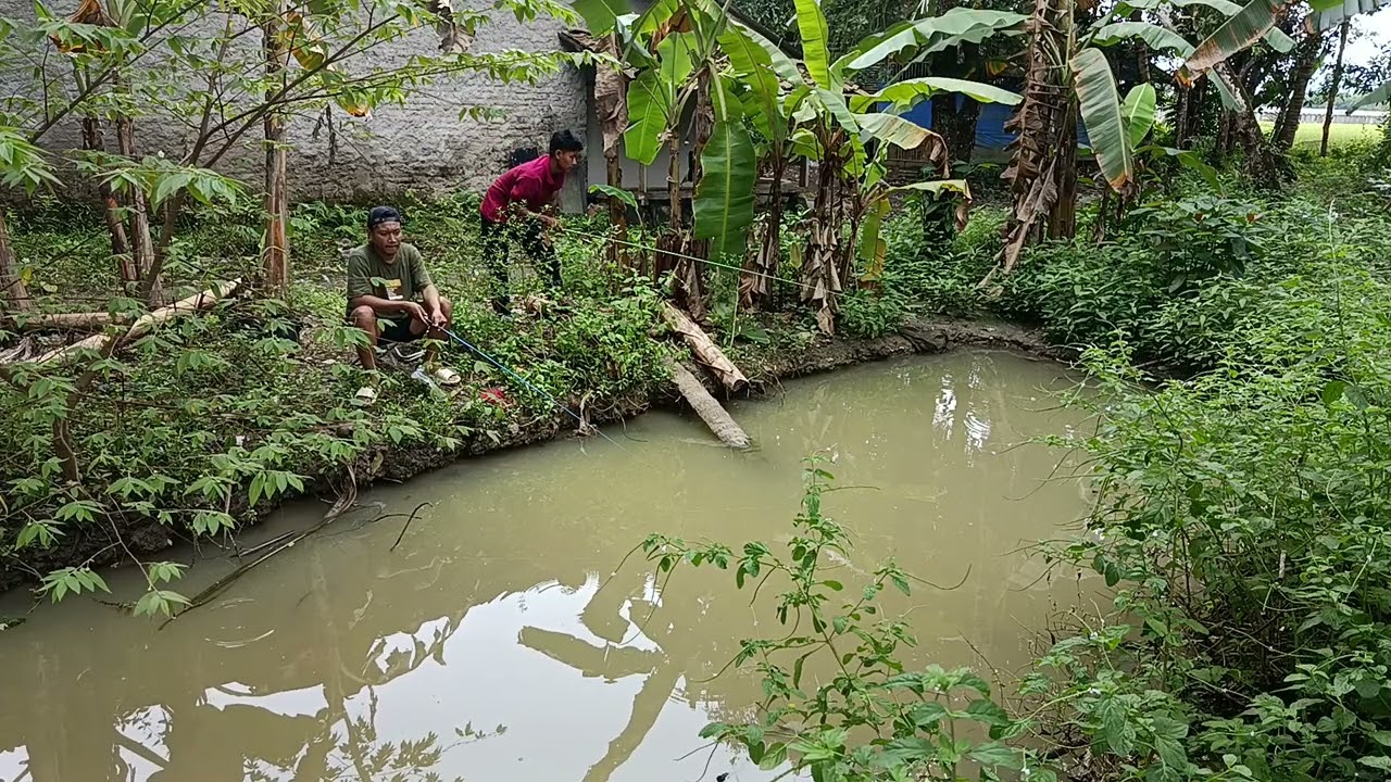 Mancing di balong ini ikan yang sudah mulai berkurang