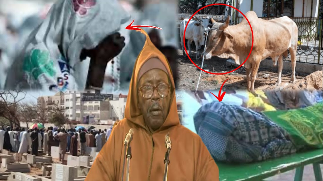 🛑Bakarou Dieuthie ak bakarou yaradikou pr Serigne Cheikh