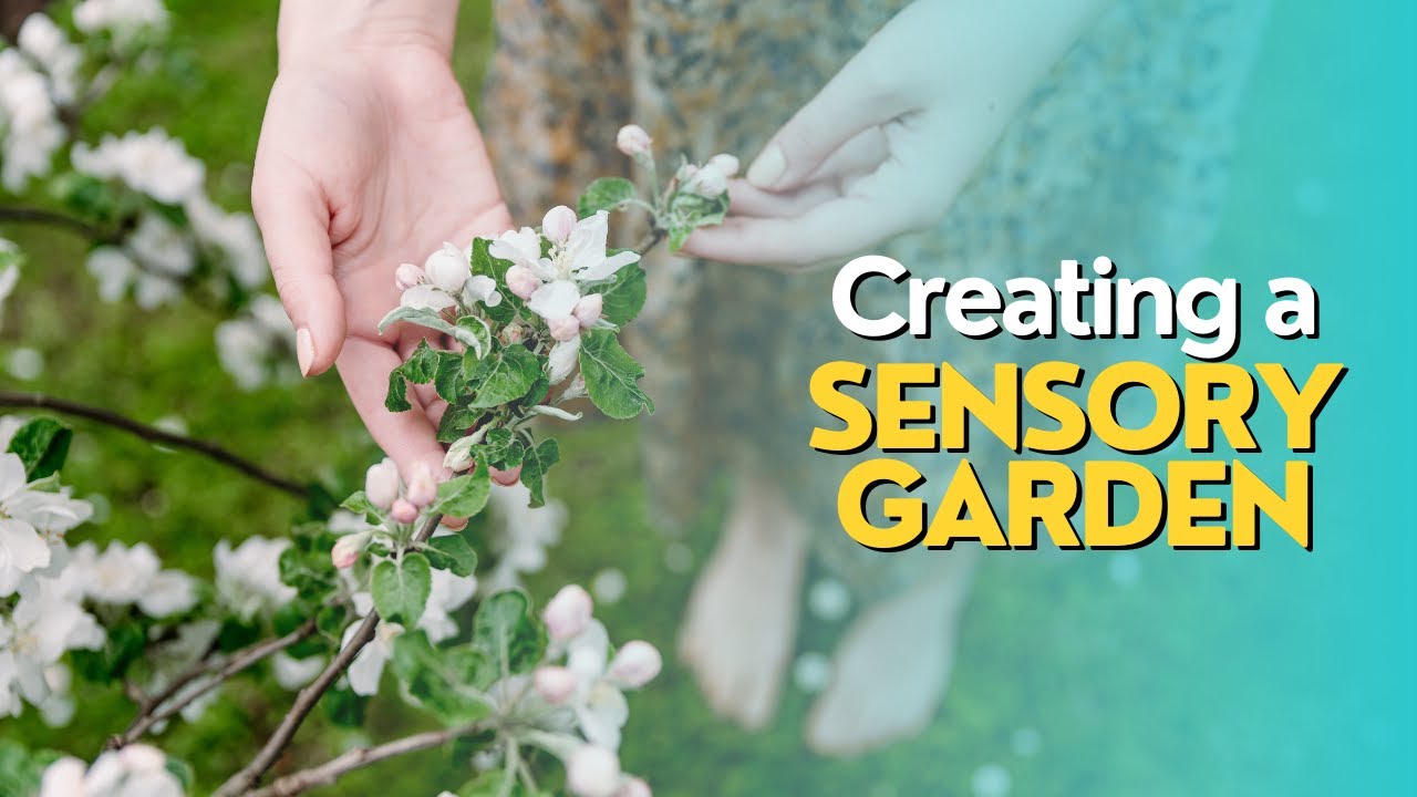 Creating a Sensory Garden