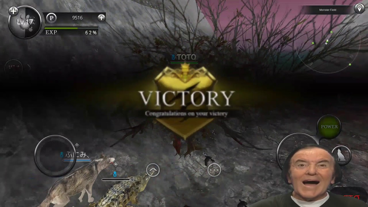 My Ostrich ToTo Gettin Level 20. Wild Animals Online.