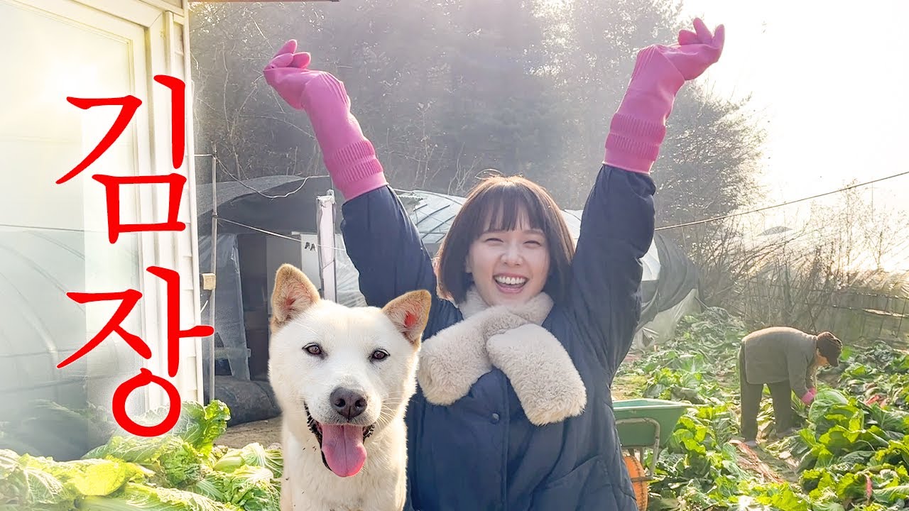 김장하는 날