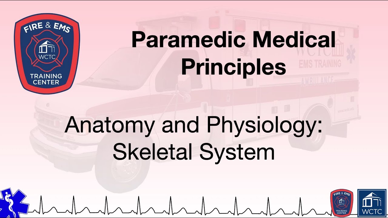Paramedic 2.10 - Anatomy and Physiology: Skeletal System