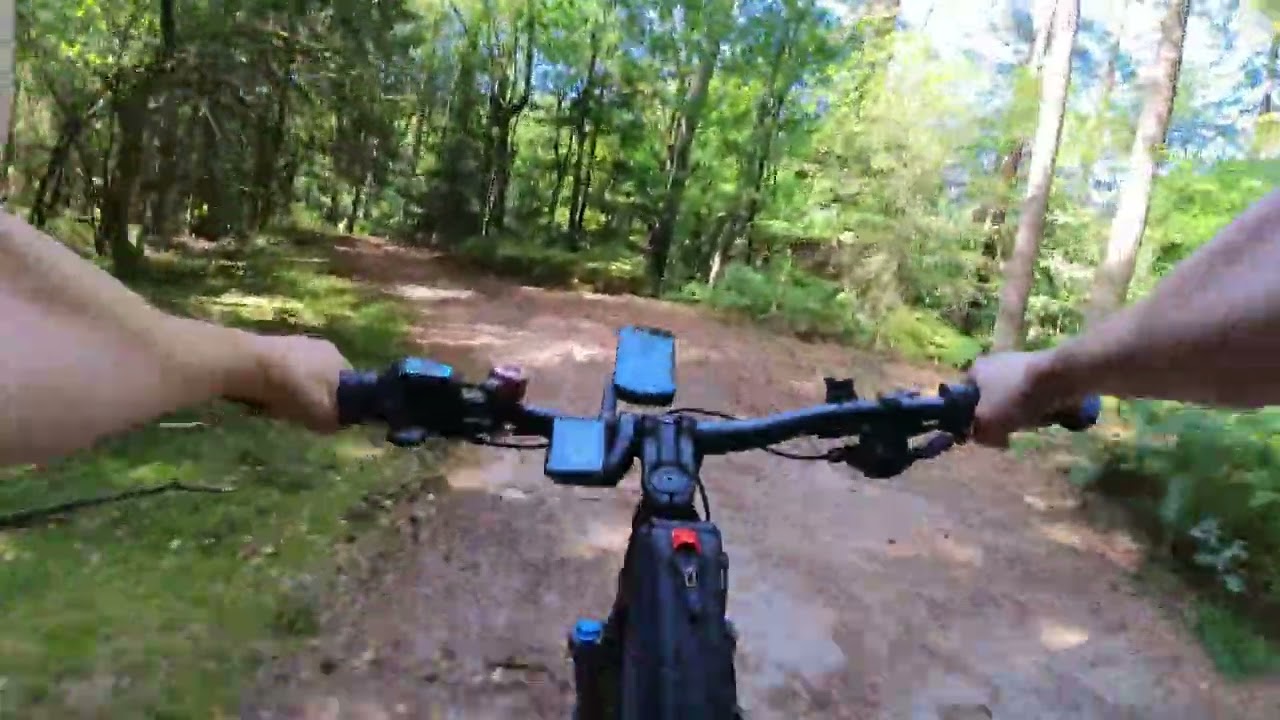 Trailfun zum Ölbachtal, Augustdorfer Dünenfeld, Schluchten und Moore am Furlbachtal