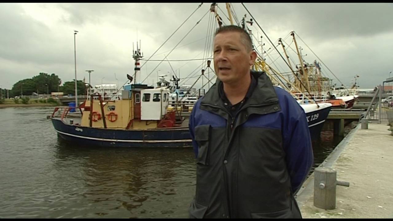 Grote opluchting in Den Helder: zeehond Bertus leeft!