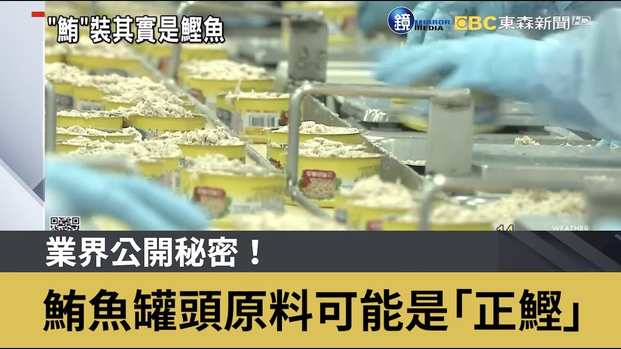 業界公開秘密！ 鮪魚罐頭原料可能是「正鰹」｜鏡週刊Ｘ東森新聞
