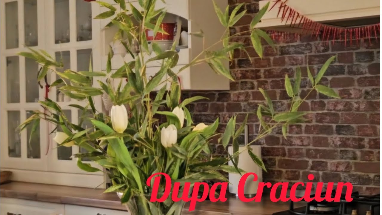 Lalele albe in decorul de iarna 🌷Viata la tara dupa sarbatori