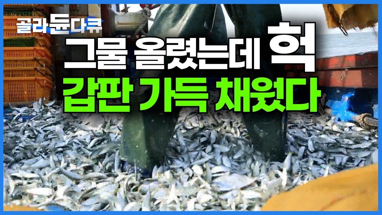 발밑으로 고기가 가득 대박 났다. 오늘 조업은 이대로 끝ㅣ갑판을 가득 채운 고기의 정체ㅣ한국기행│#골라듄다큐