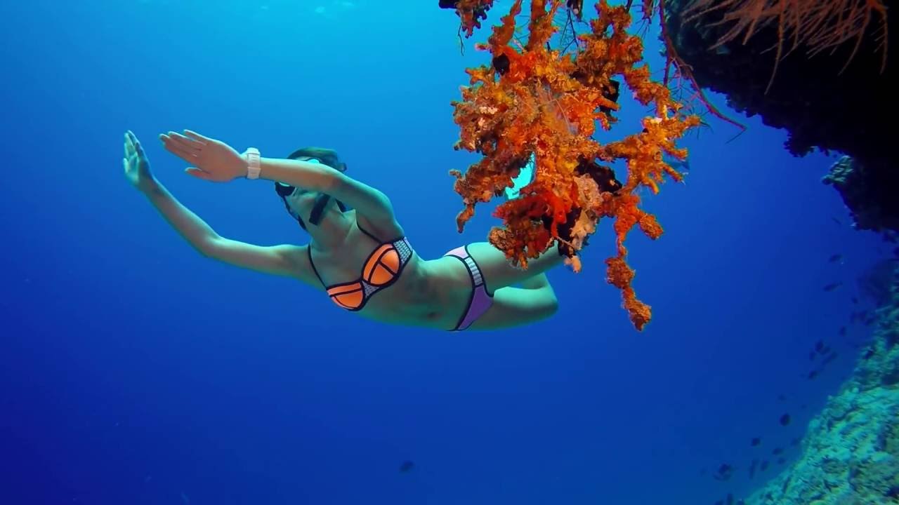 The Sundizz Show | FREEDIVING IN MALDIVES [The Sun Siyam Iru Fushi - Noonu Atoll]