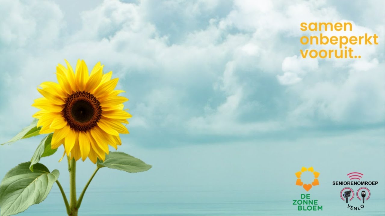 De zonnebloem/Samen Onbeperkt Vooruit