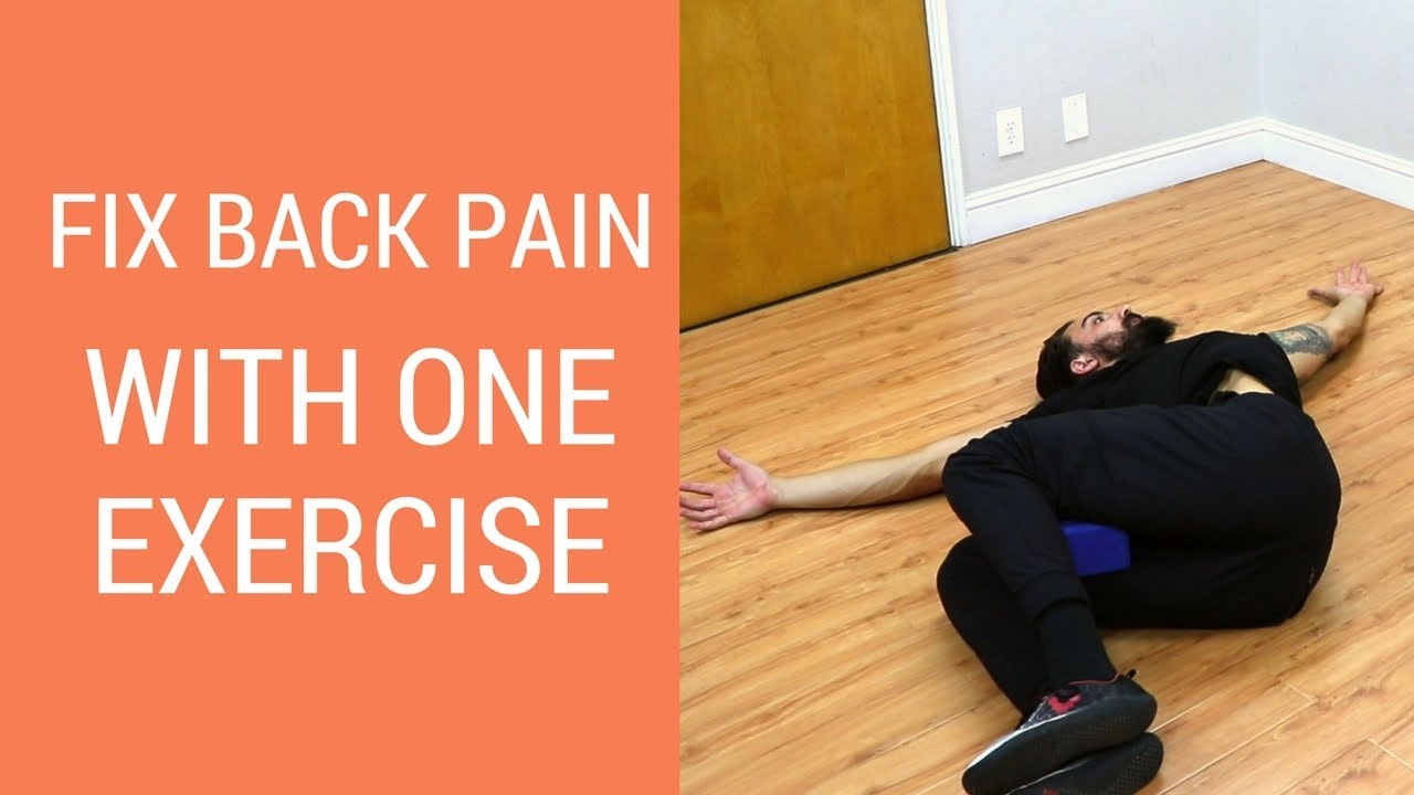 Lower back pain relief exercises at home - 1 back exercise to unlock range of motion