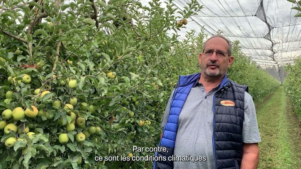 Témoignage de Pascal Borioli (GRCETA) sur les nématodes Capirel 🌱