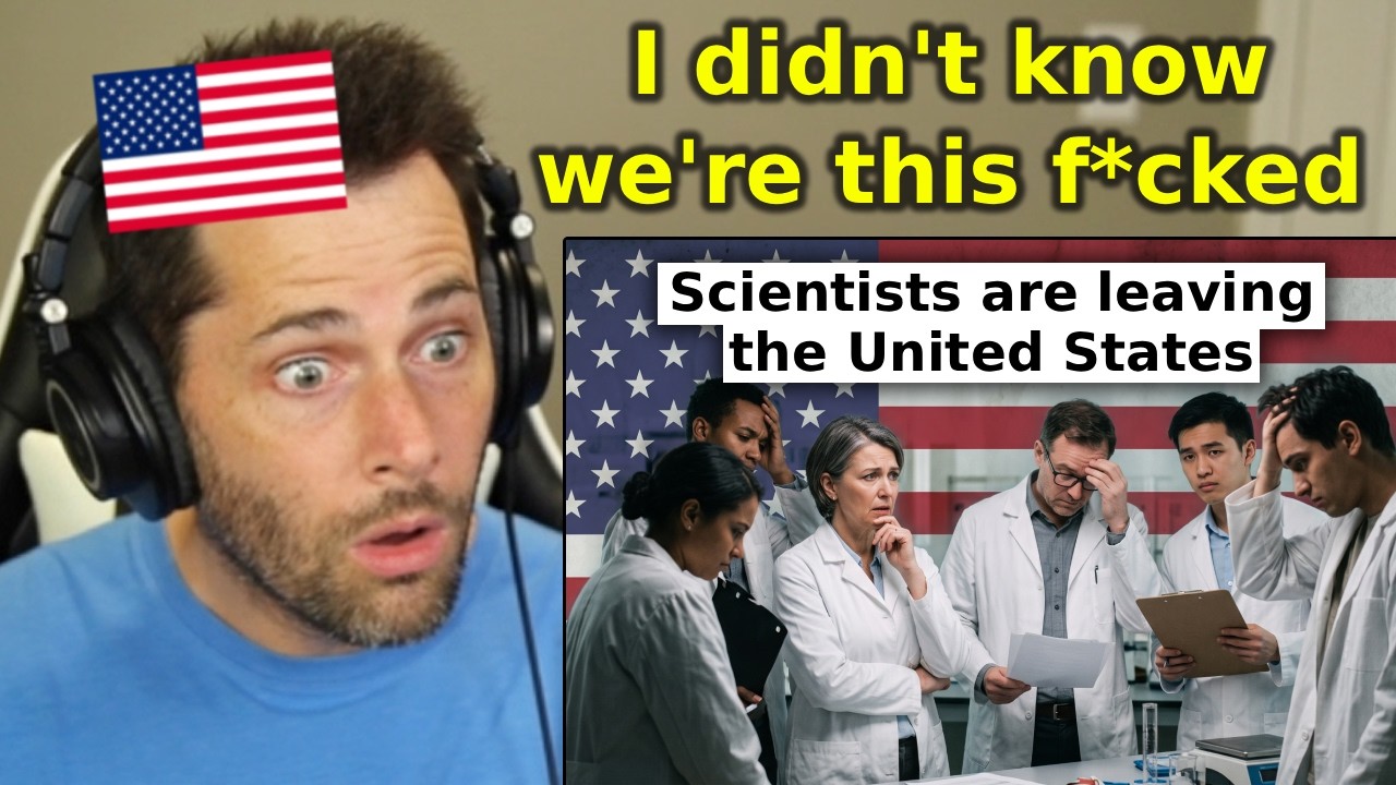 American Reacts to 