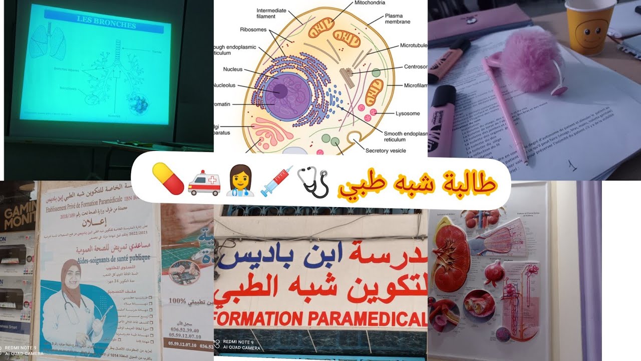 بداية دراستي كطالبة شبه طبي تخصص مساعد تمريض /aide soignant💉🩺🚑💊👩‍⚕paramédical