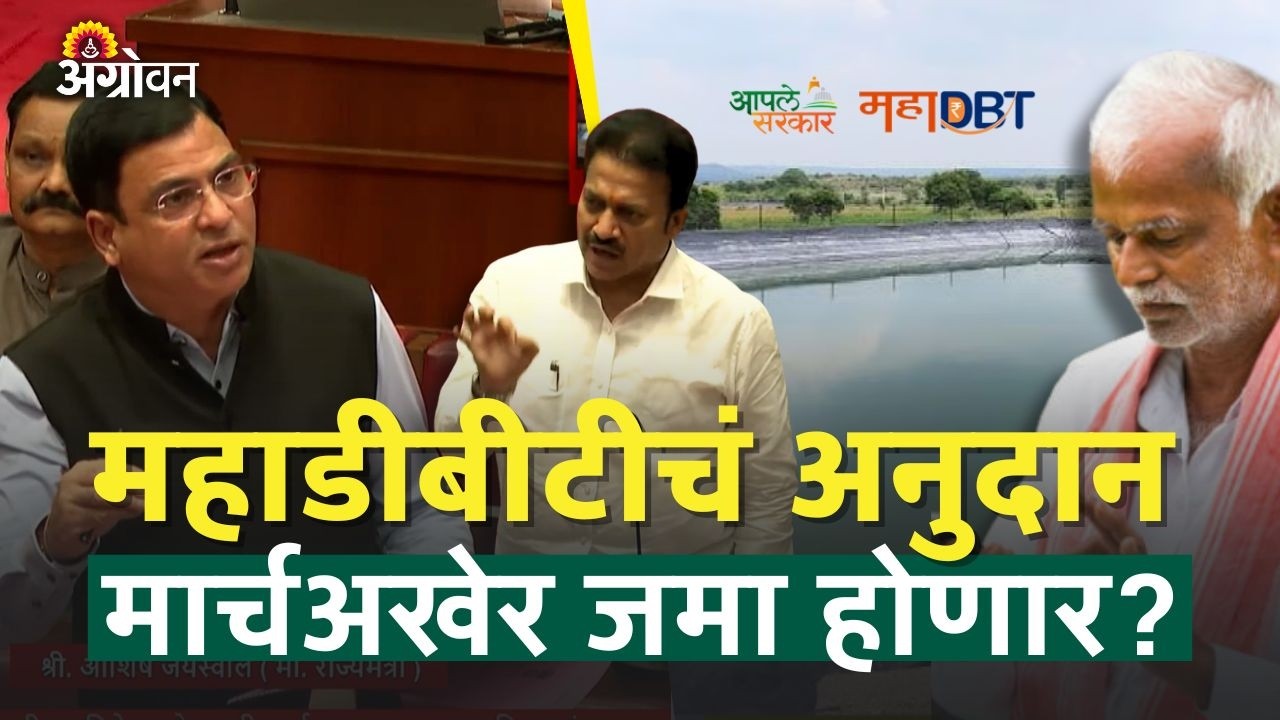 MahaDBT Subsidy : महाडीबीटी योजनांचे रखडलेले अनुदान शेतकऱ्यांना कधी मिळणार? | Agrowon