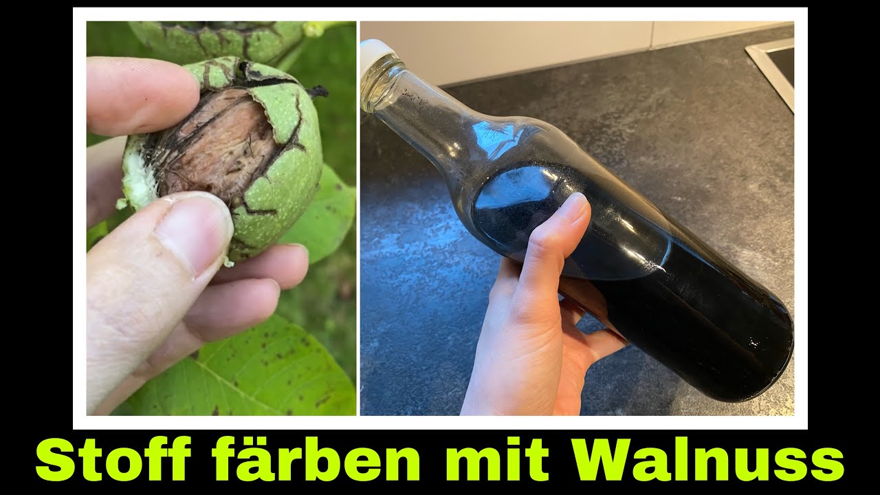 Experiment: Stoff färben mit Nussschalen | Walnuss Farbe herstellen | Selbstversorgung: Farbe