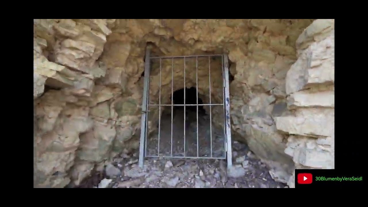 Wanderung zur Burg Ruine Schartenberg