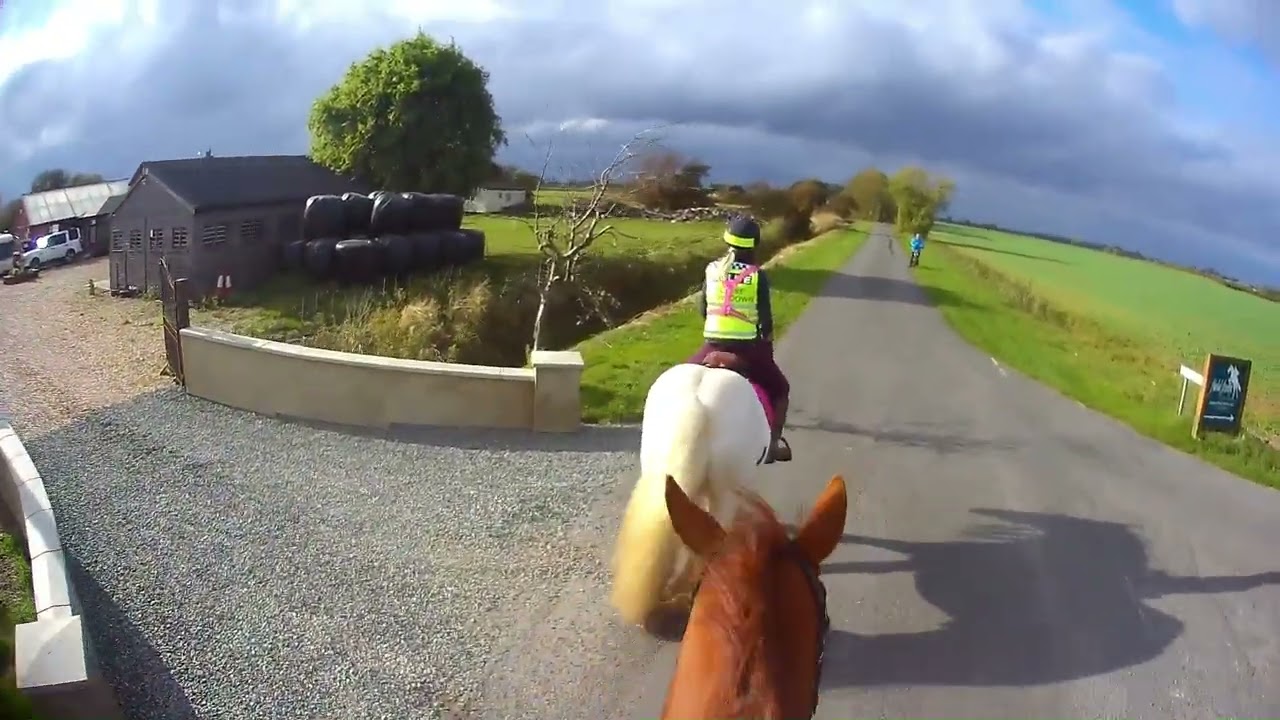 Harry Olaf Jiggy Hack 16 10 2025 LF