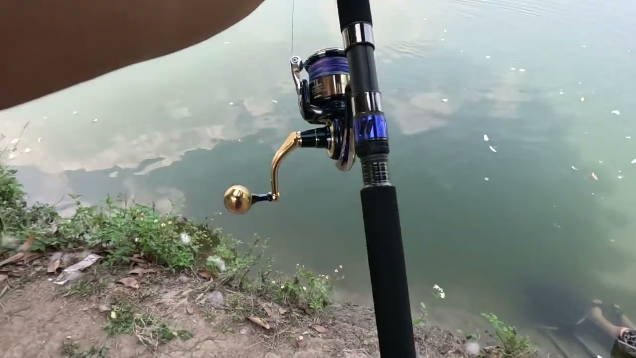 ลองคัน Daiwa saltiga airportable รอก Daiwa saltiga 14000H slp works semi order