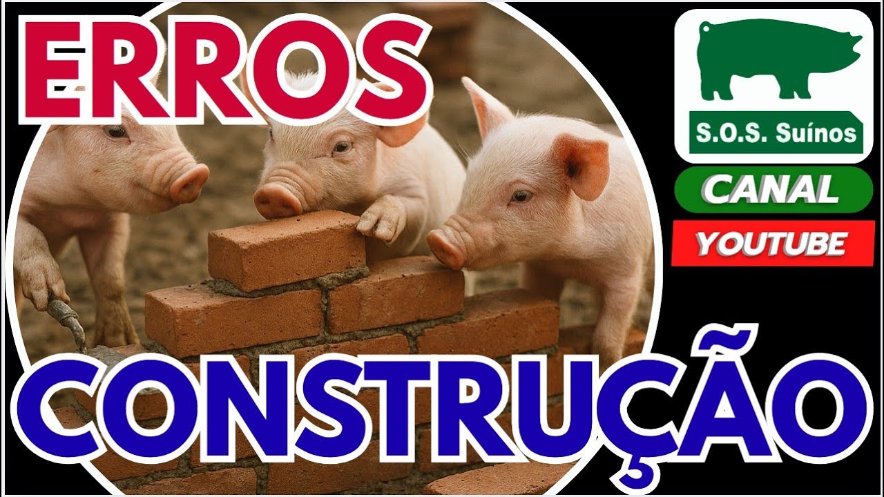 SUINOCULTURA: SOS SUÍNOS  - ERROS DE CONSTRUÇÃO