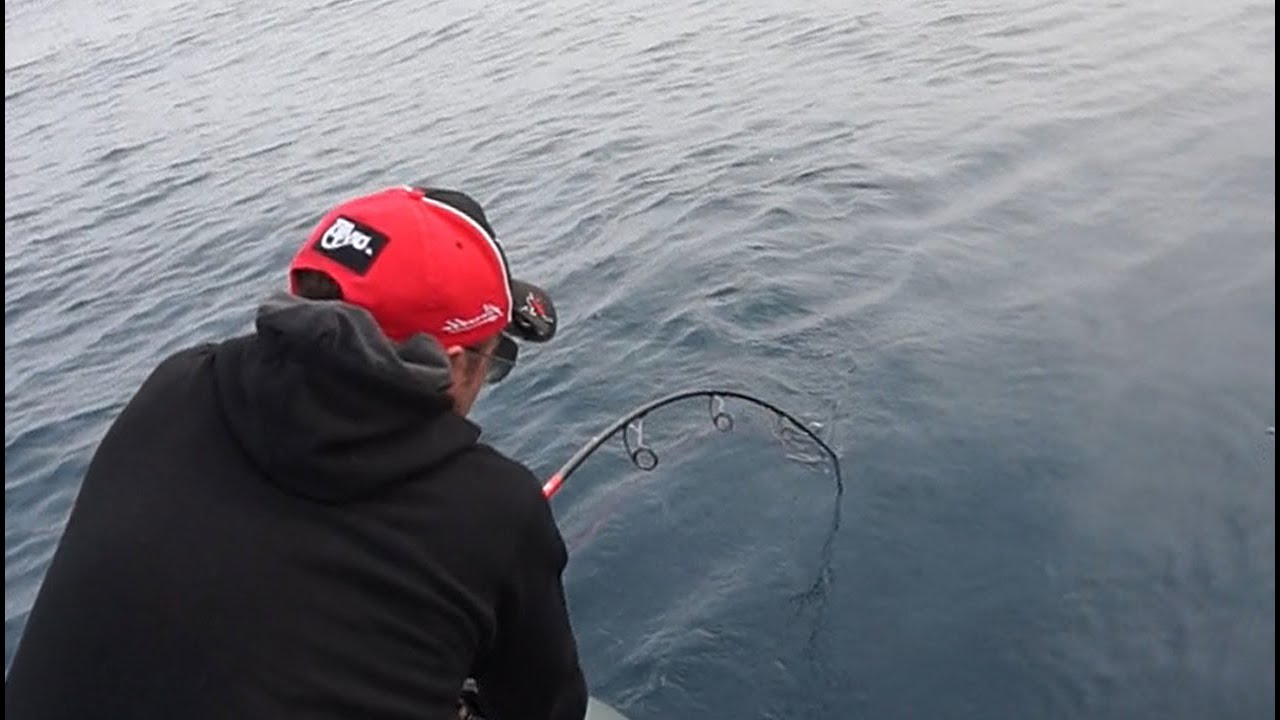FISHING FAILS! Le migliori gaff dei pescatori, noi compresi!!!