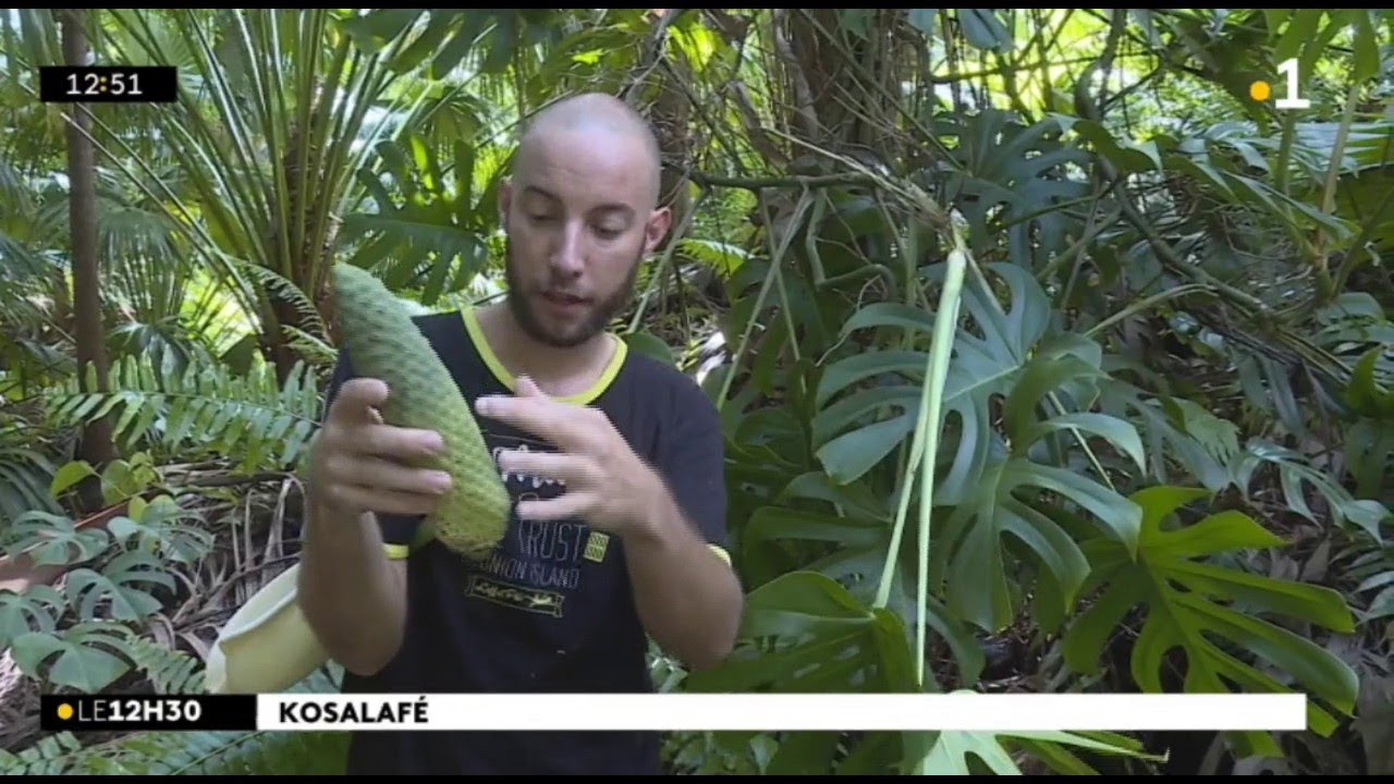 Kosalafé Samuel Lebon fruit délicieux