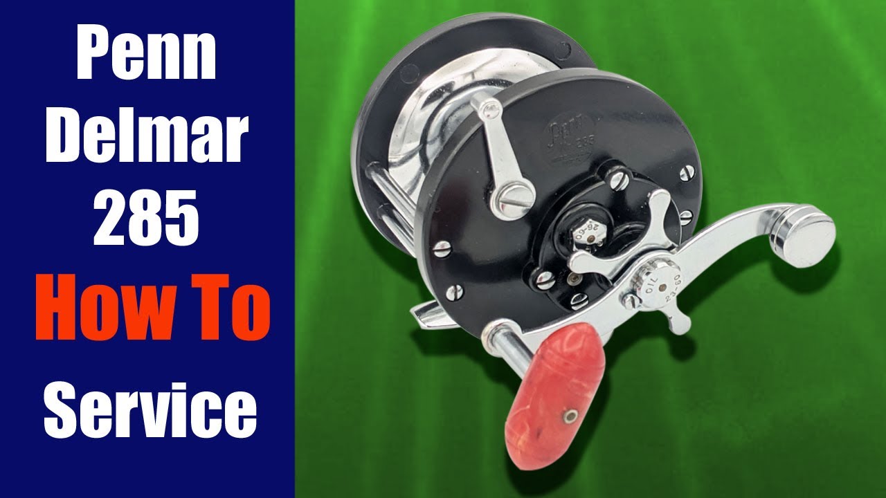 Penn Delmar 285 - How To Take Apart, Service & Reassemble | Fishing Reel Repair