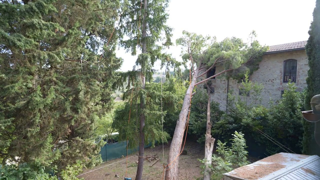Rimozione alberi crollati treeclimbing - timelaps