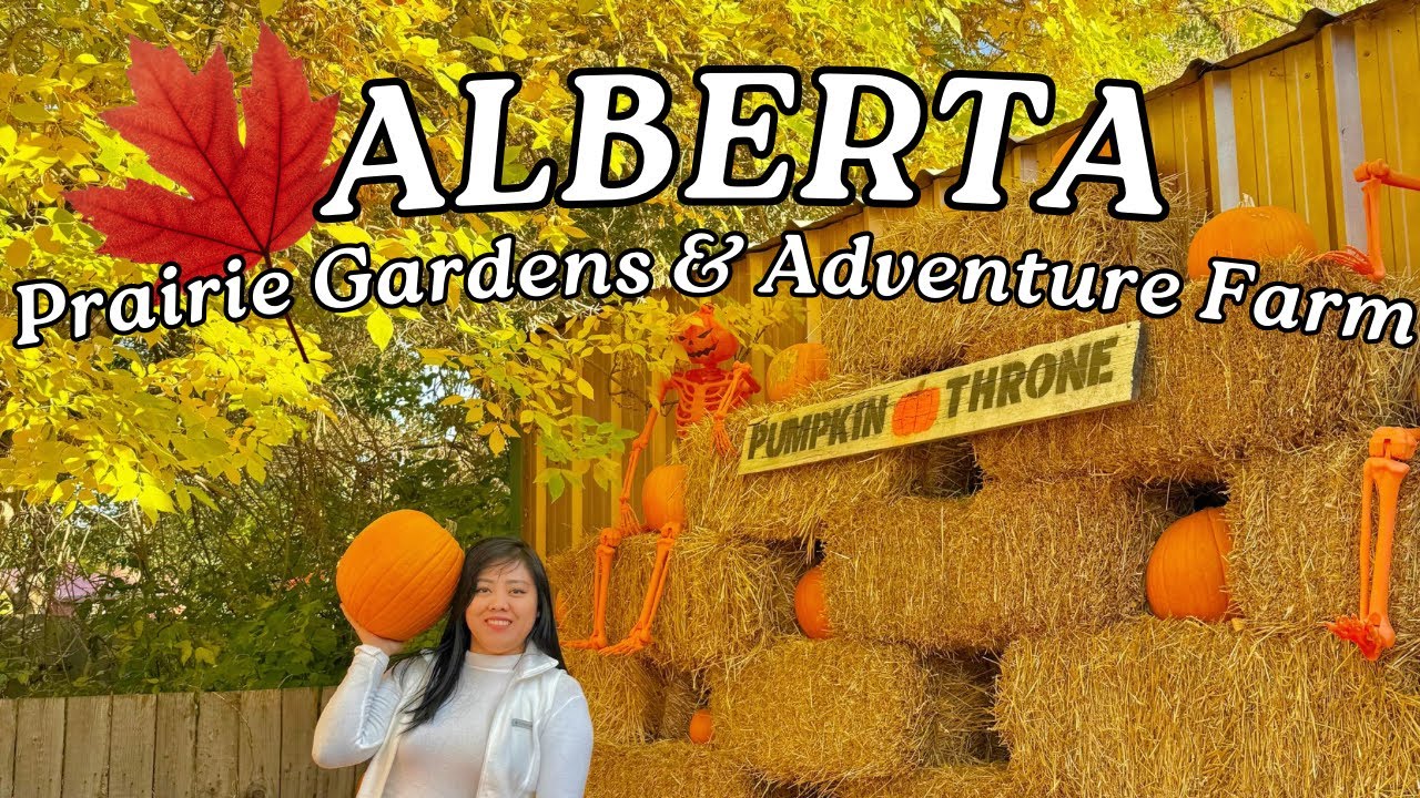 Prairie Gardens & Adventure Farm | Pumpkin Patch Adventures, Fall Fun Near Edmonton!