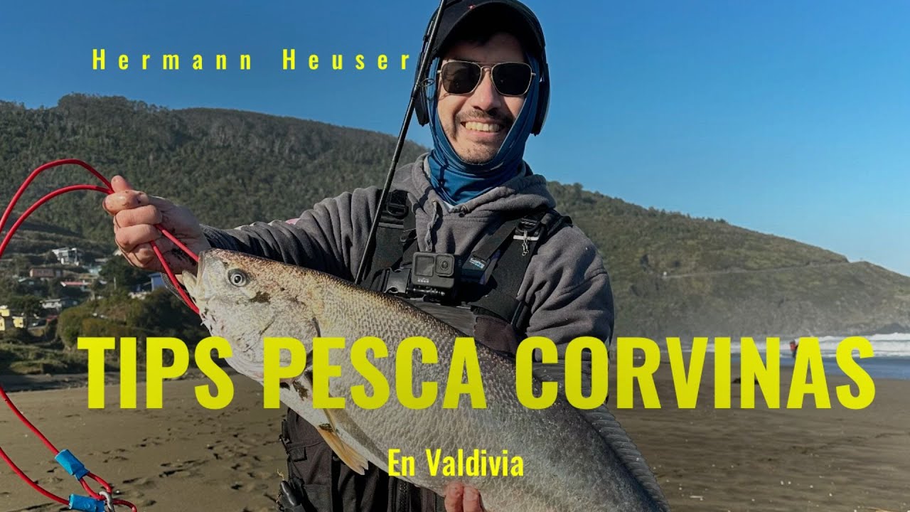 Pesca de Corvina Valdivia en la Tienda El Amigo Pescador